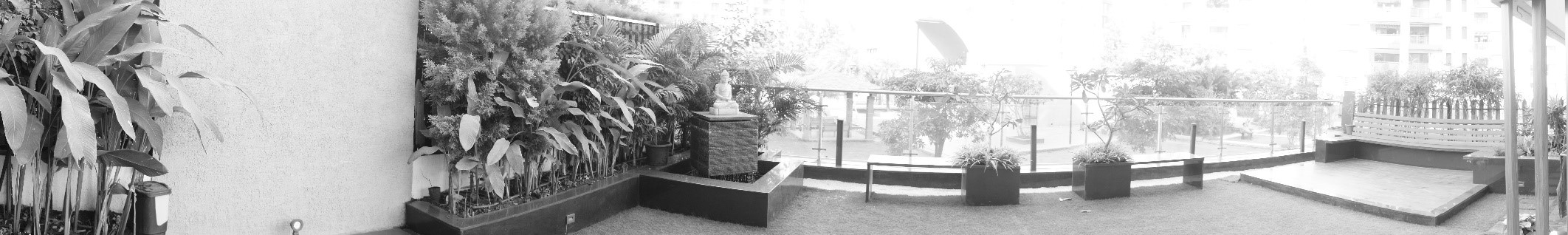 Picture11