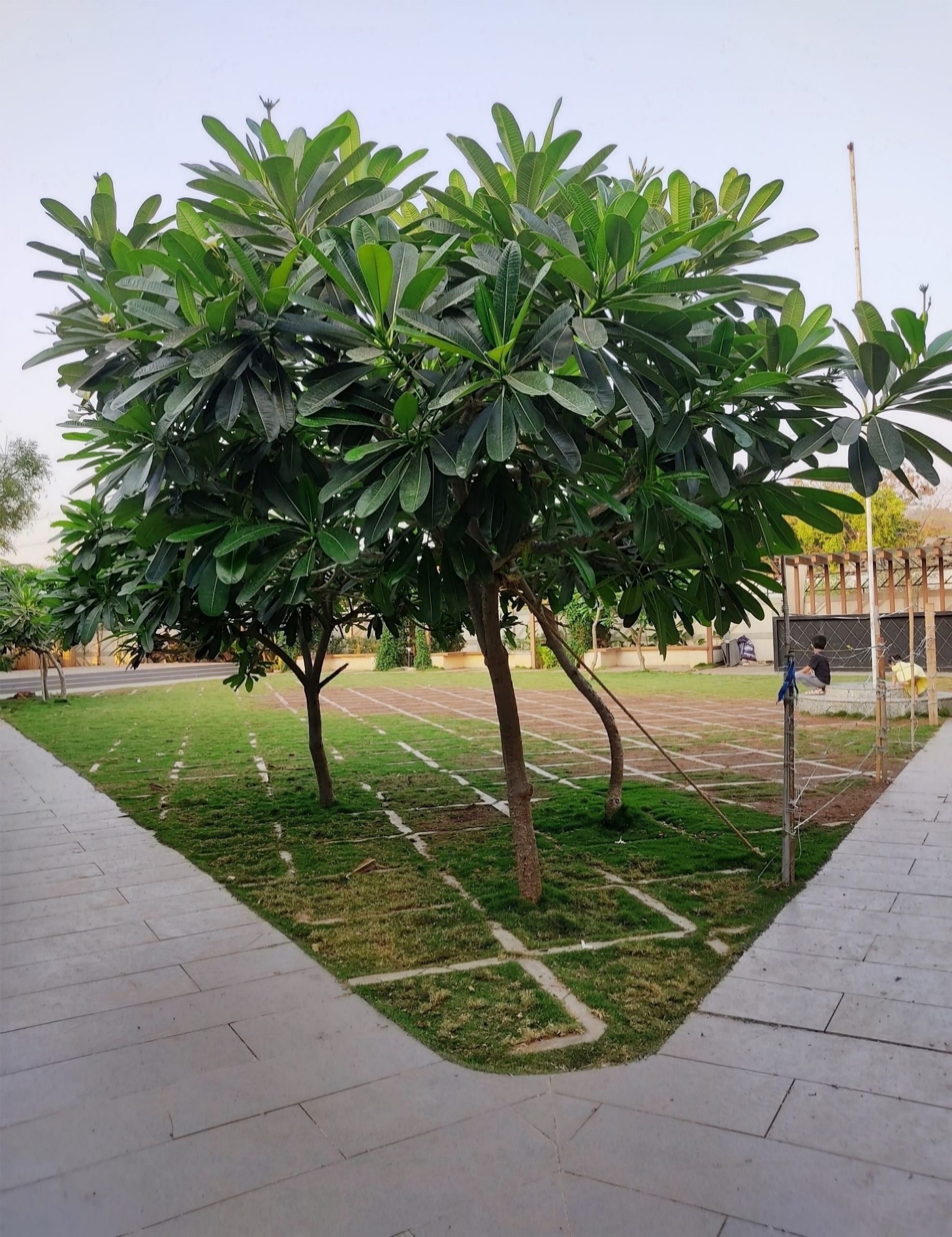 Picture7