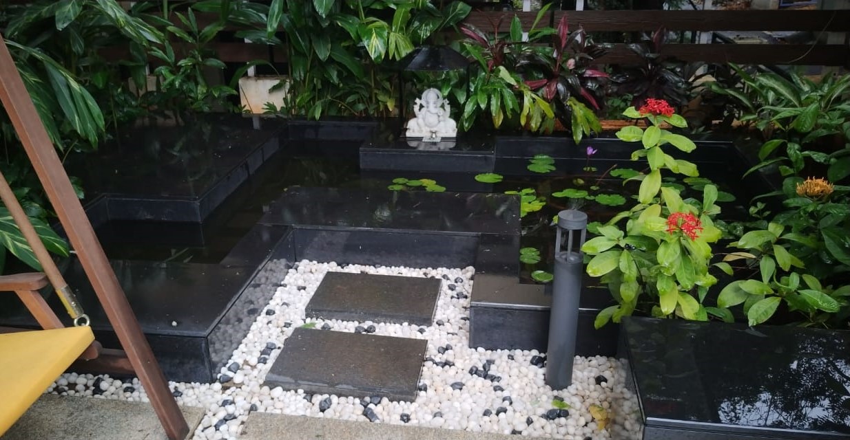 Picture18