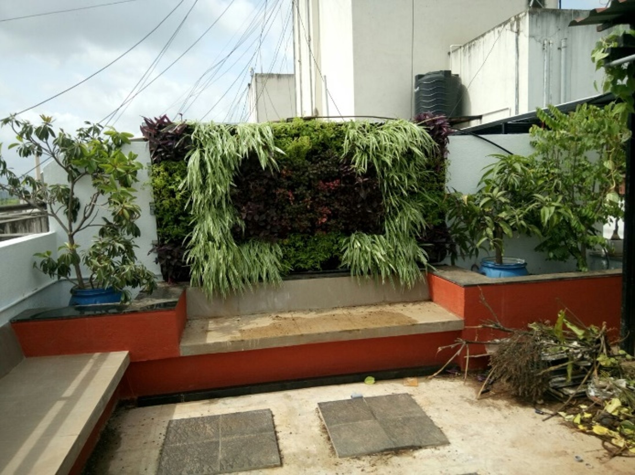 Picture47