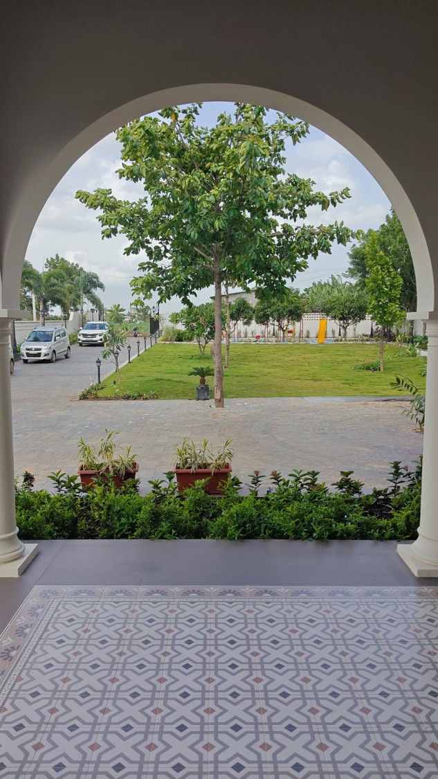 Picture46